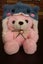 NEW Shark Bear Gift for Someone Special - Pink Bear & Blue Shark Hoodie Carousel 7