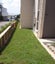 Instant Ready Lawn Kikuyu/Rye Grass - 20sqm Carousel 11