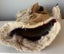 Vintage Koala Hand Puppet (Real Fur) (PING/AFTERPAY) Carousel 5