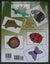 CROCHET 7 RUGS Dinosaur Owl Elephant Butterfly PATTERNS BOOK Carousel 4