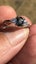 Sapphire Gemstone Ring Carousel 9