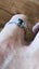 Sapphire Gemstone Ring Carousel 11