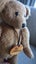 $100 NR NZ made Robin Rive Teddy Bear HENRY - collectable heirloom Carousel 5