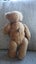 $100 NR NZ made Robin Rive Teddy Bear HENRY - collectable heirloom Carousel 7