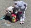 Toy pets x 3 - Bootsie, hatchimal and kitty Carousel 1