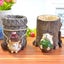 Cute Hedgehog Desk Pen Pencil Pot Holder, Toothbrush Holder, Resin Desk Organize Carousel 4
