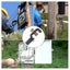 Loading Image 2 of 5