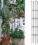 Assembled Flower Pot Support Cage - Round Trellis for Climbing Plants Carousel 1
