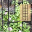 Assembled Flower Pot Support Cage - Round Trellis for Climbing Plants Carousel 3