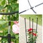 Assembled Flower Pot Support Cage - Round Trellis for Climbing Plants Carousel 4
