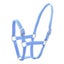Loading Image 1 of 1