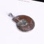 Stone Ammonite Fossils Seashell Snail Pendants Loose Gemstone Beads Diy Carousel 4