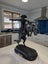 “Bronco Buster” by Frederic Remington Carousel 2
