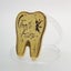 NEW 1PC Lost Teeth Reward Commemorative Coin Dental Tooth Fairy Coin Carousel 3