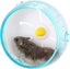 Plastic Exercise Wheel for Small Animals - Silent Non-Slip Hamster Wheel - Blue Carousel 1