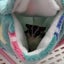 Small Pet Hammock Cage Nest - Cozy Hammock Hanging Bed Bunk for Hamster, Ferret, Carousel 2