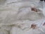 Character Baby Reborn Doll - Pretty Doll - SH 481 Carousel 5