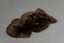 50% OFF The Finest New Zealand Natural Brown Color Rare Breed Sheepskin Rug Carousel 4