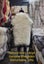 New Zealand Made Premium Large Sheepskin Rug - Single Large Sheepskin Rug Carousel 5