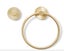 Scalloped Door Knocker - Gold Look Carousel 9