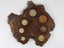Vintage Australian Souvenir Coin Board Carousel 1