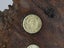 Vintage Australian Souvenir Coin Board Carousel 3