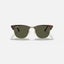 Ray Ban Clubmaster - Mock Tortoise On Arista Carousel 2
