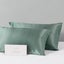 Beautysilks Silk 2 Pack Pillowcases Hypoallergenic Soft Smooth Hair and Skin Carousel 19