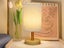 Three Color Dimmable Bedside Night Table Lamp Bedroom Lamp Light Colour Shade Carousel 2