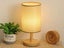 Three Color Dimmable Bedside Night Table Lamp Bedroom Lamp Dark Colour Shade Carousel 3