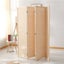 Room Divider Carousel 7
