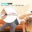EMS Muscle Stimulator Trainer Abs Fitness Equipment Training Gear Carousel 3