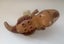 Lego Duplo Tan Tyrannosaurus T Rex DINOSAUR Prehistoric Animal ADULT w/ Stripes Carousel 3