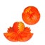 Loading Image 1 of 3