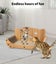 Pawz Cat Kitten Claw Scratching Board Post Scratcher Corrugated Cardboard Toy Carousel 5