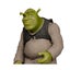 Shrek w / Digital - 12" Movie-Maniacs Figure Carousel 4