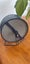 Mouse or rat Exercise wheel medium Carousel 5