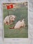 PC 4256 - Bonzo Postcard - Rabbits I Believe? Carousel 1