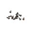 Loading Image 1 of 1