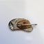 PAUA BROOCH Carousel 2