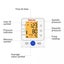 Smart Automatic blood pressure monitor Carousel 5