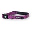 HUSKIMO DOG COLLAR TREKPRO AURORA SMALL Carousel 1