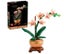 LEGO Botanicals Collections(Plum Blossom/Mini Orchid/Chrysantheum/ Lucky Bamboo) Carousel 3