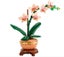 LEGO Botanicals 10343 Mini Orchid Carousel 2