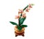 LEGO Botanicals 10343 Mini Orchid Carousel 3
