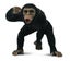 CollectA Chimpanzee Figurine - Male Carousel 1