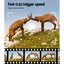 UL-tech 4K 16MP Trail Camera Wildlife Hunting Security Cam Night Vision Carousel 6
