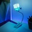 Minecraft: Allay Book Light Carousel 4