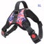 Dog Harness XL Carousel 2