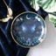 Round Midnight Moth Trinket Dish Carousel 3